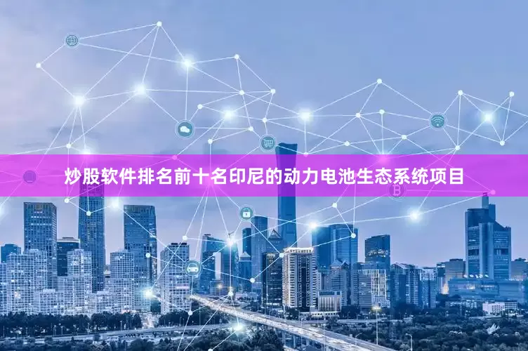 炒股软件排名前十名印尼的动力电池生态系统项目